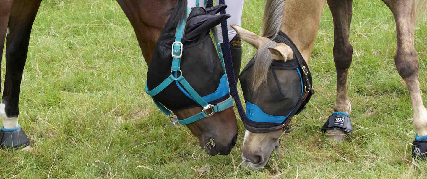 Woof Wear UV Fly Mask Without Ears Black & Turquoise