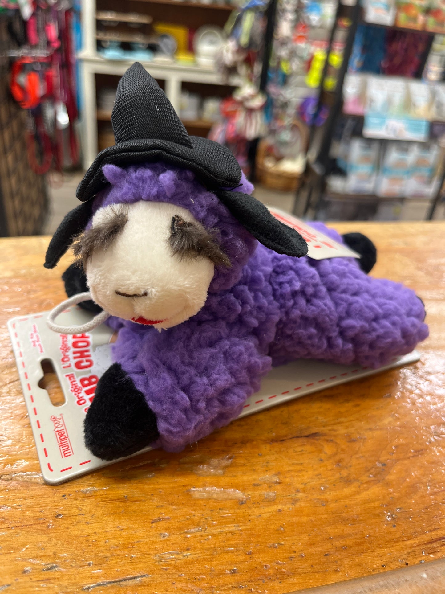 Multipet Lamb Chop with Witch Hat 6"