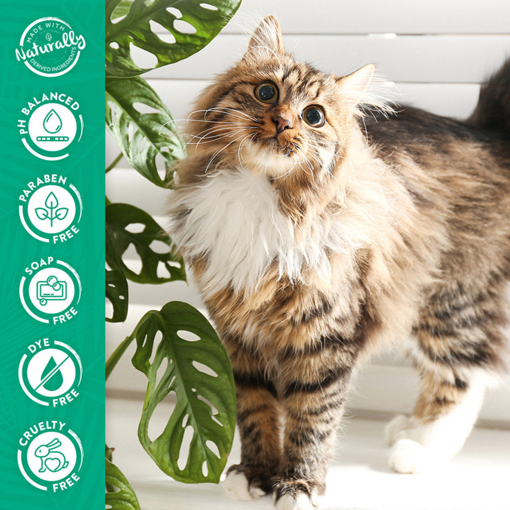 Tropiclean Hypoallergenic Cat Shampoo 12oz