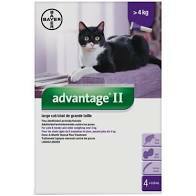 Bayer Advantage II Large Cats over 4kg 4Pk