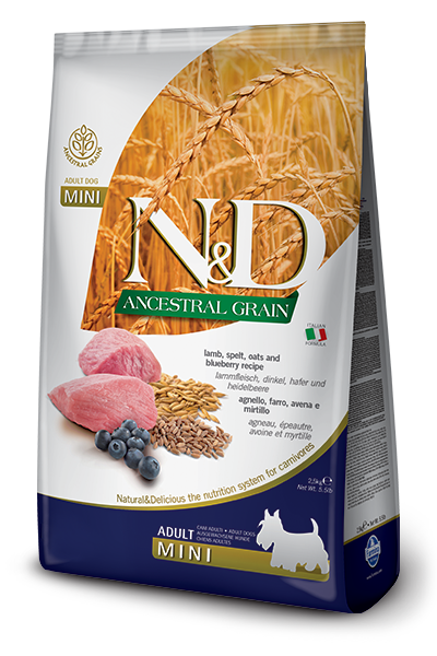 Farmina N & D  Adult Dog Mini Lamb & Blueberry Ancestral Grains 5.5Lb