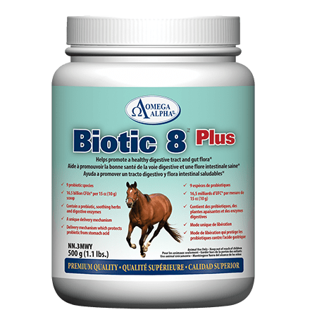 Omega Alpha Equine Biotic 8 Plus 500G