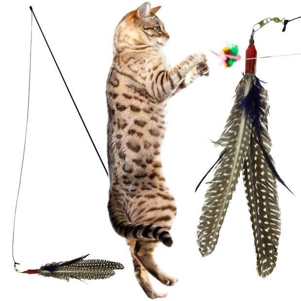 Go Cat Da Bird With 36" Rod