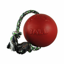 Jolly Pets Romp-n-Roll Ball Asst'd