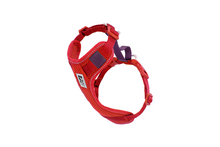 RC Pets Moto Control Goji Berry & Burgundy Harness
