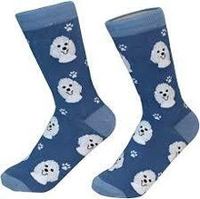 Unisex Sock Daddy Poodle- White