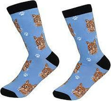 Unisex Sock Daddy Tabby, Orange