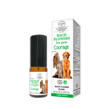 Bach Flowers For Pets Courage Elixir