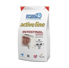 Forza10 Intestinal Active Dog