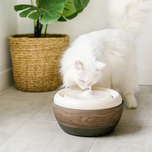 Be One Breed Eco Bamboo Cat Fountain 3L