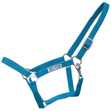 Ger-Ryan Teal Nylon Cob Halter & Lead Set