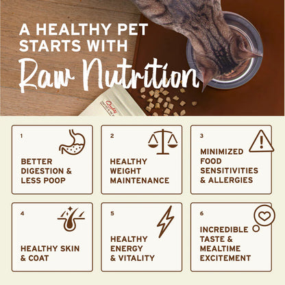 Primal Rabbit Freeze Dried Nuggets for Cats 14oz