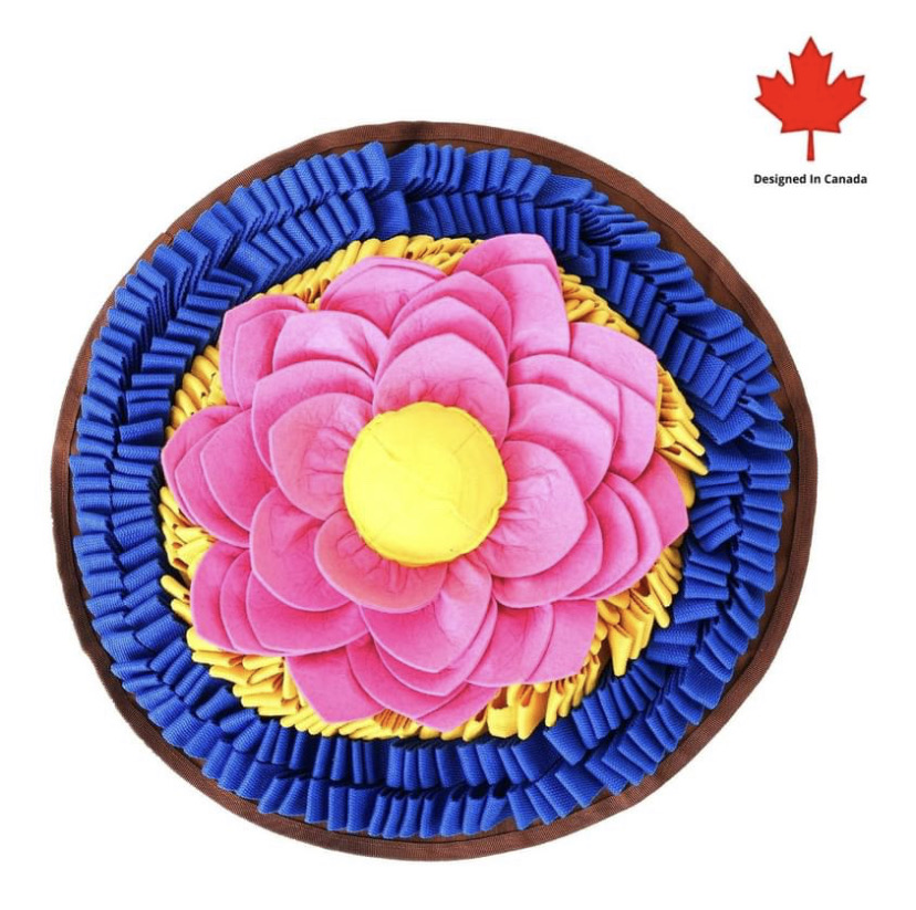 PawzNDogz Lotus Anti-Bite Snuffle Mat