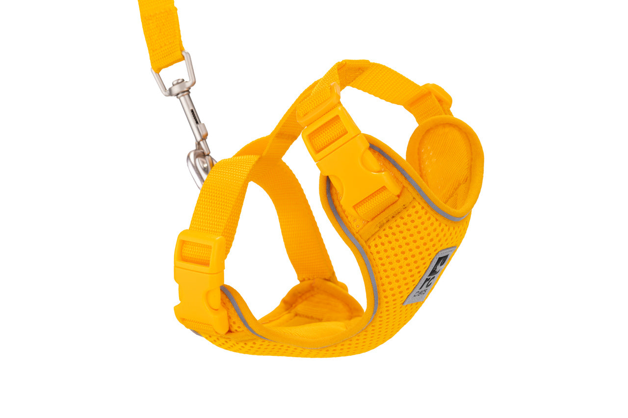 RC Pets Marigold Adventure Kitty Harness