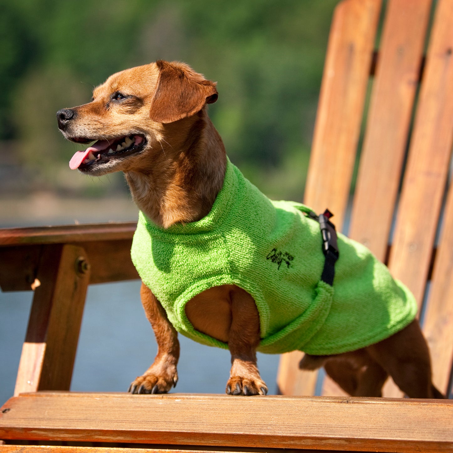Chilly Dogs 🍁Lime Soaker Robe