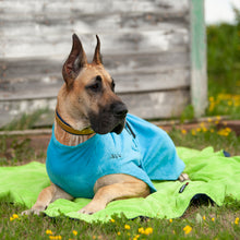 Chilly Dogs Turquoise Soaker Robe