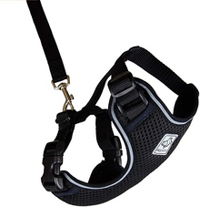 RC Pets Black Adventure Kitty Harness