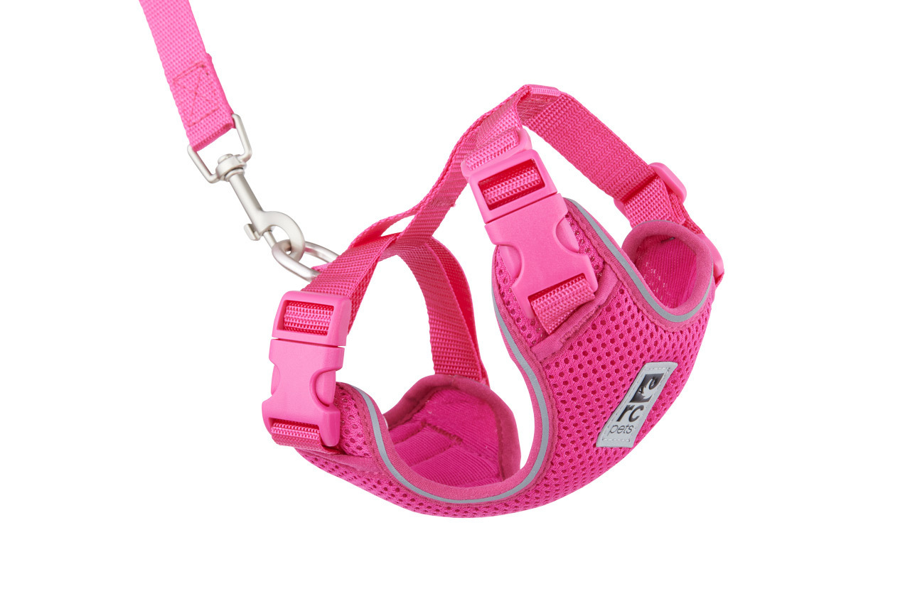 RC Pets Raspberry Adventure Kitty Harness