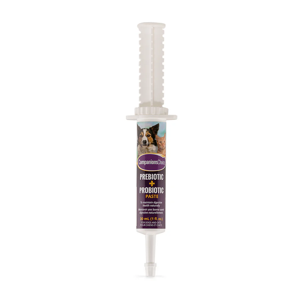 Companion's Choice Prebiotic Probiotic Paste for Dogs & Cats 30ml