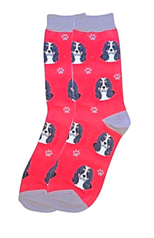Unisex Sock Daddy Cavalier  Tri-Colour