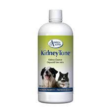 Omega Alpha Kidney Tone 500Ml