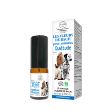 Bach Flowers For Pets Quietude Elixir