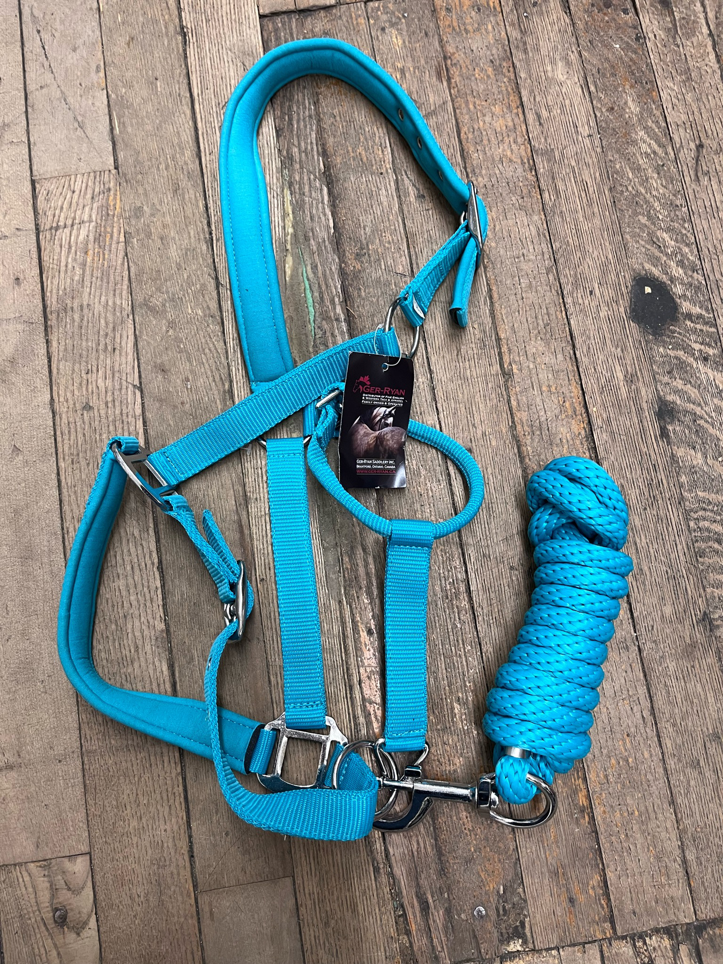 Ger-Ryan Teal Padded Nylon Halter with 8' Lead