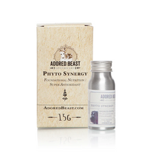 Adored Beast Apothecary Phyto Synergy 15g