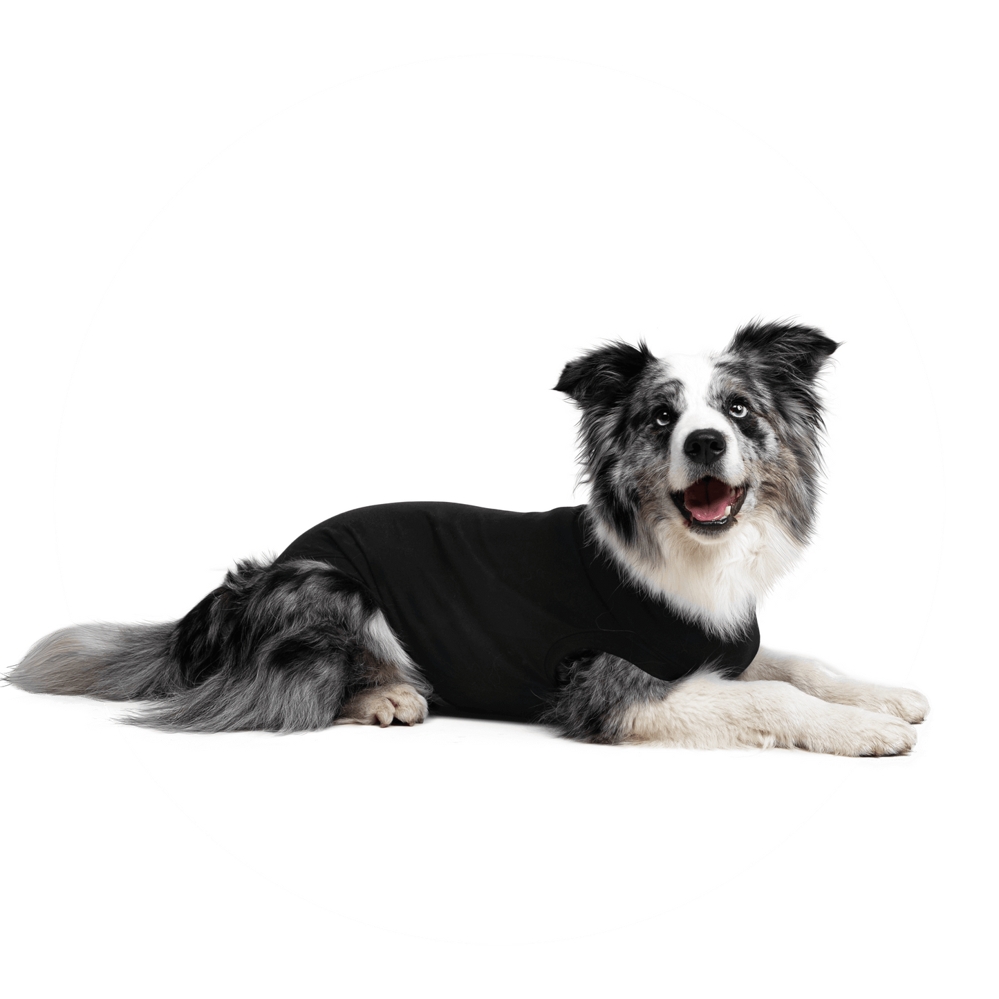 Suitical Black Dog Recovery Suit