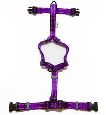 JettaJacks Very Purple Fluid Motion Harness