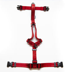 JettaJacks Red Fluid Motion Harness