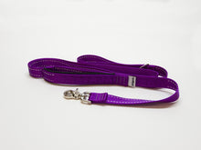 JettaJacks Very Purple 6' Double-Handled Leash