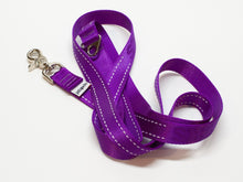 JettaJacks Very Purple 6' Standard Leash