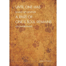 Tree Free Unawakened Soul Pet Sympathy
