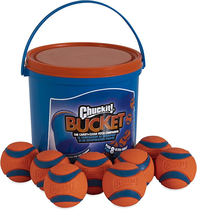 Chuck IT! Bucket with Ultra Ball Medium 8 pack