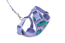 RC Pets Maze Adventure Kitty Harness