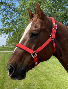 Ger-Ryan Red Nylon Halter & Lead Set - Full Horse