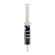 Equine Choice Pre & Probiotic Paste 80ml