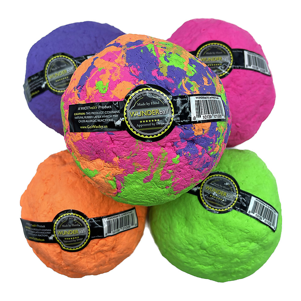 Wunderball Dog Toy