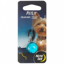 Nite Ize Turquoise Jewel PetLit for Small Dogs & Cats