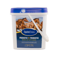 Equine Choice Pre & Probiotic Granular