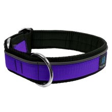 Nahak Purple Collar with Reflective Band