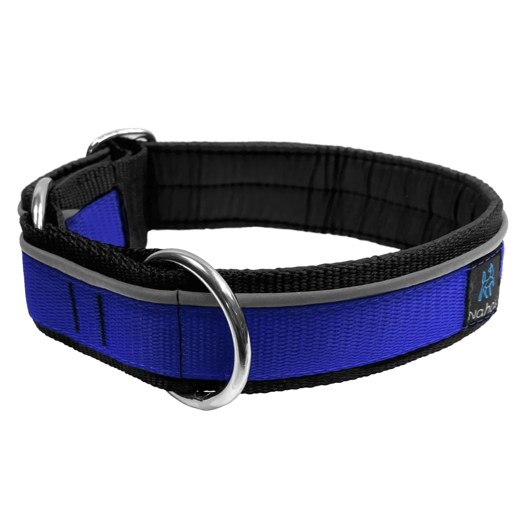 Nahak Blue Collar with Reflective Band