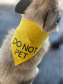 Collar Crazy Co 🍁Do Not Pet Dog Bandanna