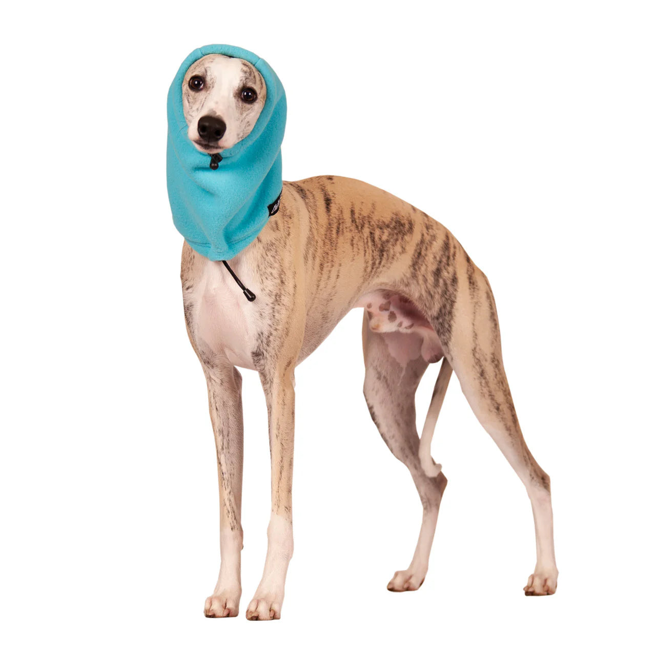 Chilly Dogs Arctic Blue Head Muff Dog Ear Warmer