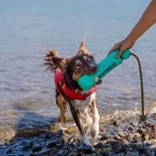 RUFFWEAR Aurora Teal Lunker Dog Toy - Medium