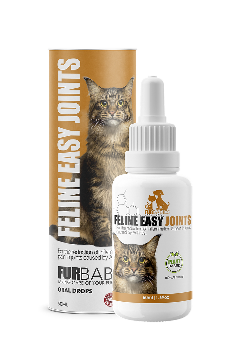 Furbabies Feline Easy Joints 50ml