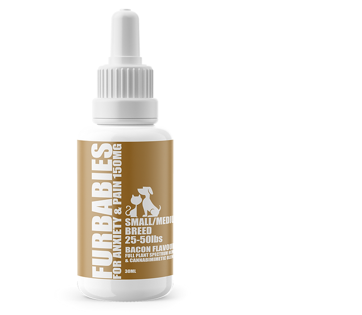 Furbabies Bacon Oral Drops for Cats & Dogs 30 ml Bottle