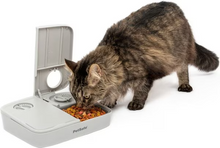 Pet Safe 2 Meal Auto Feeder