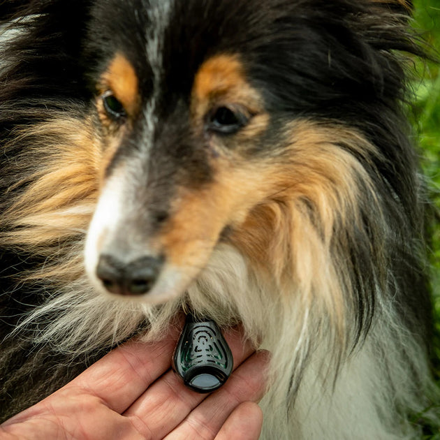 Tickless Classic Black Ultrasonic Tick and Flea Repellent